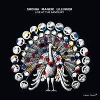 Gordon Grdina, Mat Maneri & Christian Lillinger - Live at the Armoury