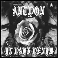 Antwon - IN DARK DENIM