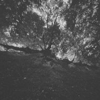 Cursed Diamond - Haunted Dreams