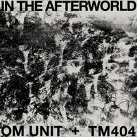 Om Unit & TM404 - In the Afterworld