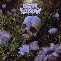 Ocean Of Illusions - Unrecognizable