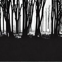 Wisp - Tangled dreams