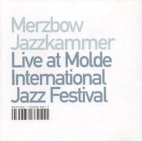 Merzbow & Jazzkammer - Live at Molde International Jazz Festival