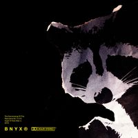 BNYX&reg; - The Summoning of the Raccoons No. 5 in D Major