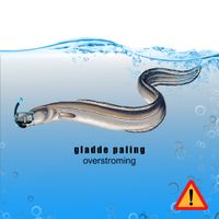 gladde paling - overstroming