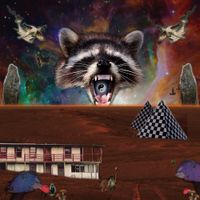 Trash Panda - Off