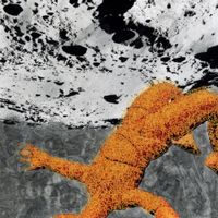 Pavilion - Moonsault