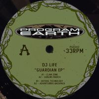 DJ Life - Guardian