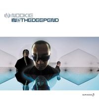 Nookie - In @ the Deep End