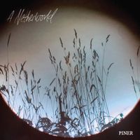 Piner - A Netherworld