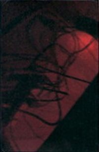 Nkondi / The Cherry Point - Split