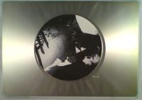 The Cherry Point - Grisly Death