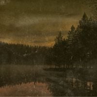 Autumn, Leaves, Scars - 119:107