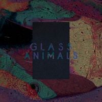 Glass Animals - Black Mambo / Exxus