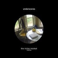 underscores - the niche market (mashup)
