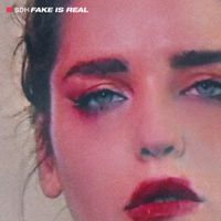 Semiotics Department Of Heteronyms - Fake Is Real