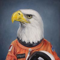 Giant Eagles - Second Landing