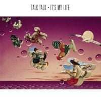 Talk Talk - It's My Life