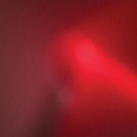Meat Wave - The Incessant