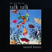 Talk Talk - Natural History: The Very Best of Talk Talk
