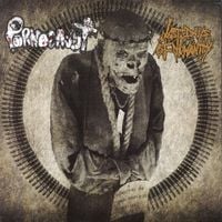 Last Days Of Humanity / Pornocaust - Last Days of Humanity / Pornocaust