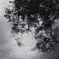 Silent Whale Becomes A Dream - Canopy