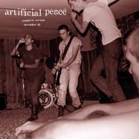 Artificial Peace - Complete session november 81