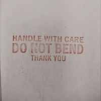 The Cat Never Left - Handle With Care