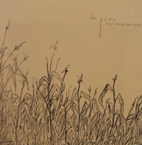 The Pine - Lead Blocks for Feet