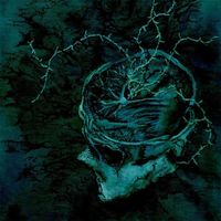 Nachtmystium - Instinct: Decay