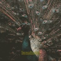 Kaminski - Black Salad