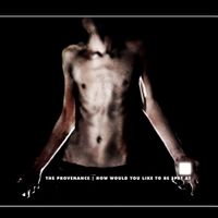 The Provenance - How Would You Like to Be Spat At