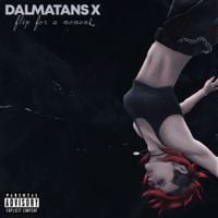 Dalmatans X - Flip for a Moment