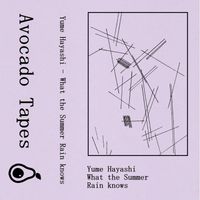 Yume Hayashi - What the Summer Rain Knows