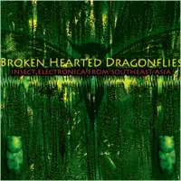 Tucker Martine - Broken Hearted Dragonflies: Insect Electronica From Southeast Asia