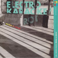 Fujiya & Miyagi - Electro Karaoke / Rot