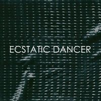 Fujiya & Miyagi - Ecstatic Dancer