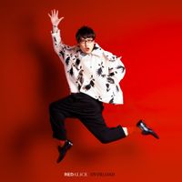 REDALiCE - OVERLOAD