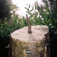 Kinlaw - Weld