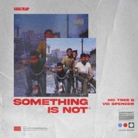 Tree & Vic Spencer - Something Is Not