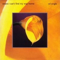 Swans - Can't Find My Way Home