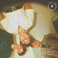 The Manatees - Dream In Colour