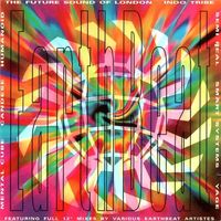 The Future Sound Of London - Earthbeat