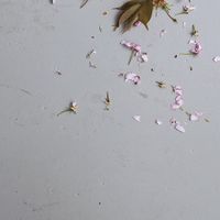 forfeit - Numb