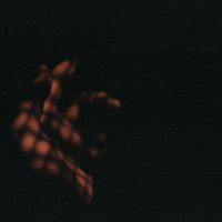 forfeit - Perennial