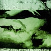 Cerebral Turbulency - Impenetrable