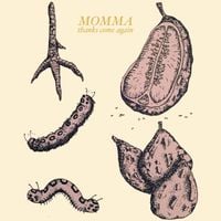 Momma - thanks come again