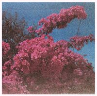 Elisabeth Klinck - Picture a Frame