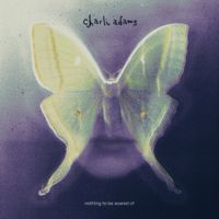 Charli Adams - Nothing to Be Scared Of