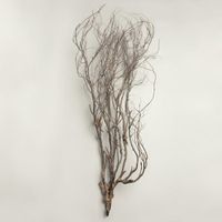 Mary Jane Leach - Woodwind Multiples